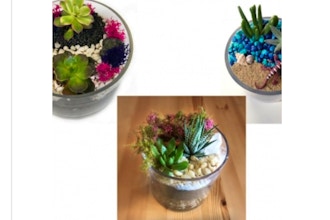 Plant Nite: Succulent Garden in Glass Cylinder